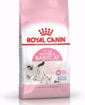 Royal Canin Dry Cat Food Mother & Babycat / 2kg